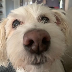 Meet your Posher, Kathleen